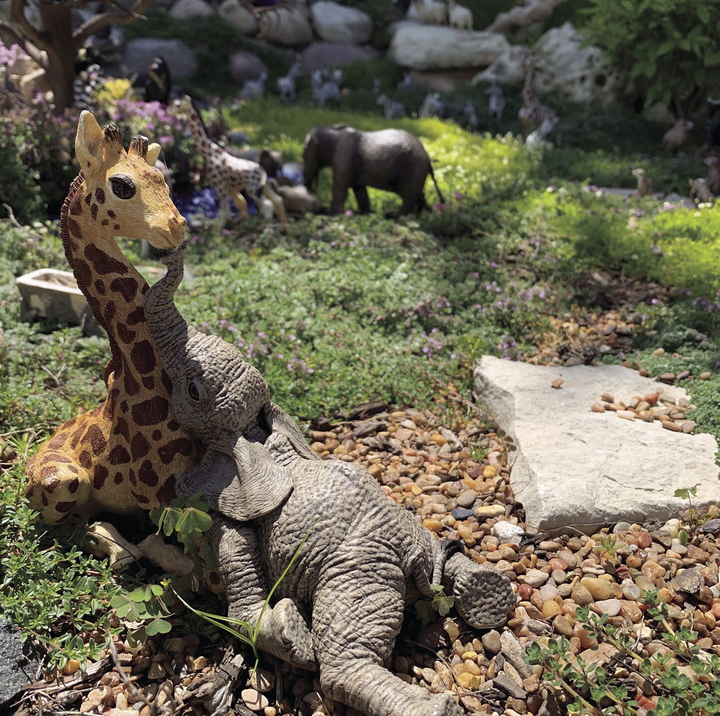 animal friends
